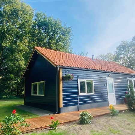 Morning Glory, Huisje Forest بيكبيرخين المظهر الخارجي الصورة